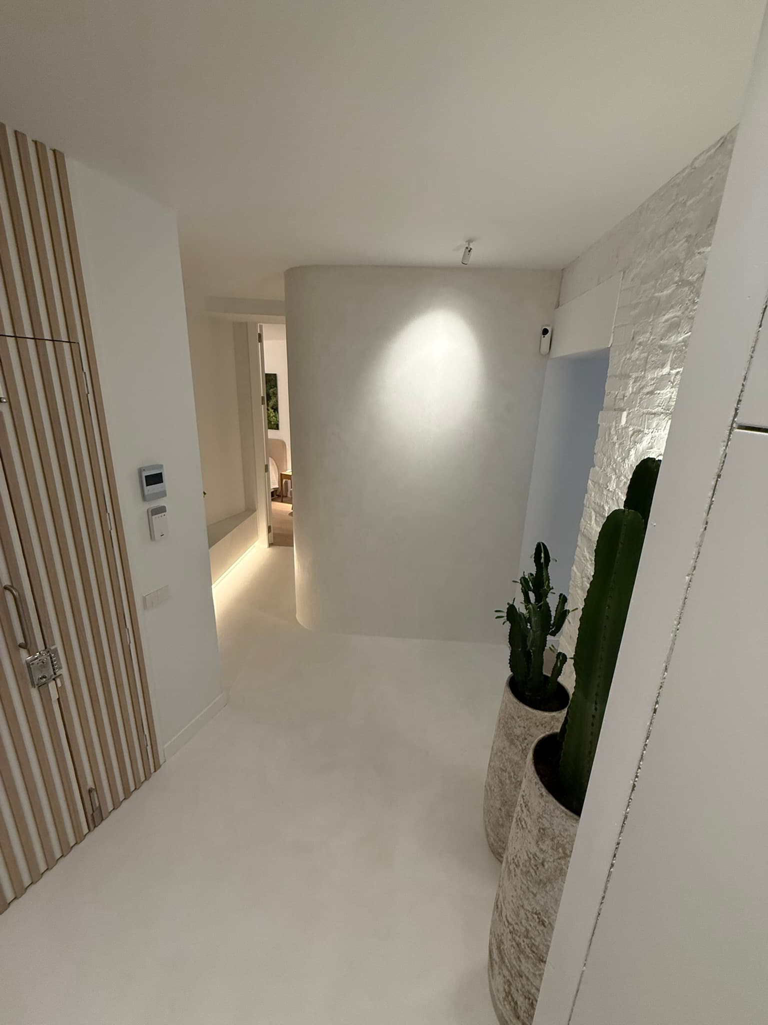 Pasillo con paredes curvas en microcemento gris claro, iluminación puntual y jarrones texturizados con cactus